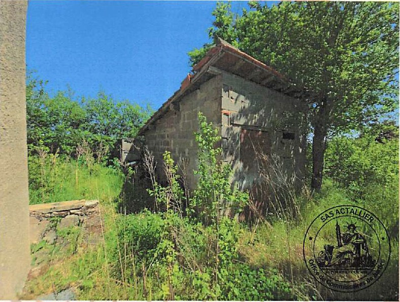 photo3